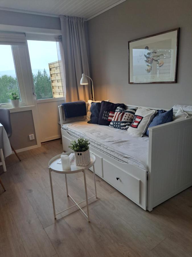 Mysig Laegenhet Med Fjaellutsikt I Saelen Apartment Bagian luar foto