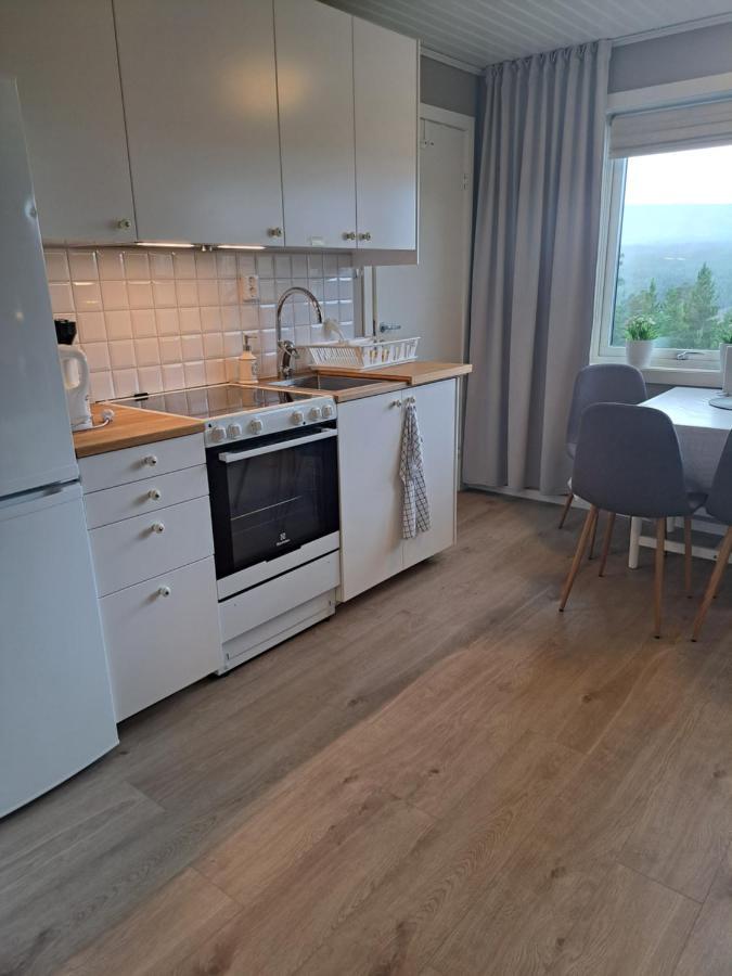 Mysig Laegenhet Med Fjaellutsikt I Saelen Apartment Bagian luar foto
